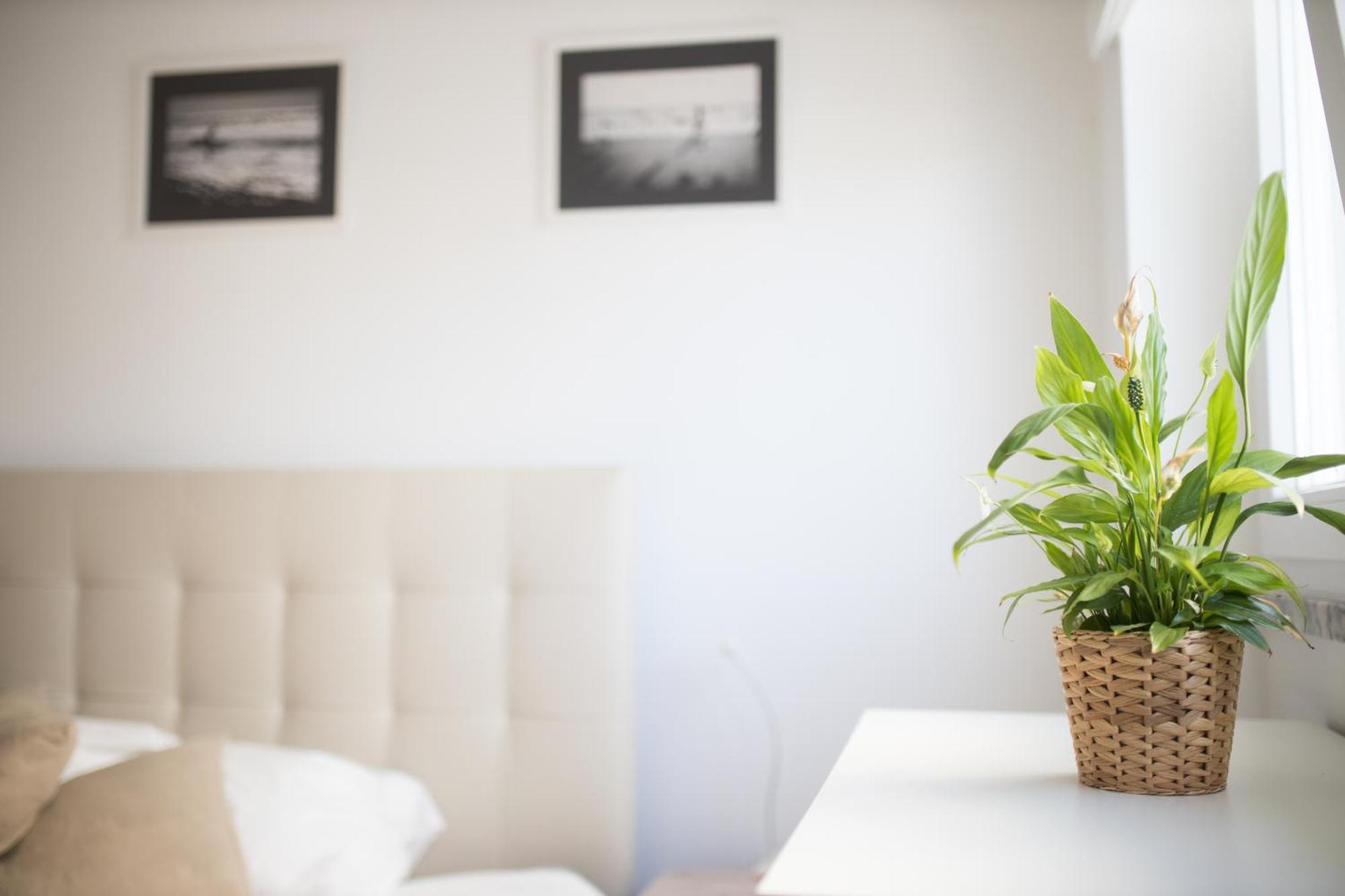 Casas Do Mar Apartment ริบามาร์ ภายนอก รูปภาพ